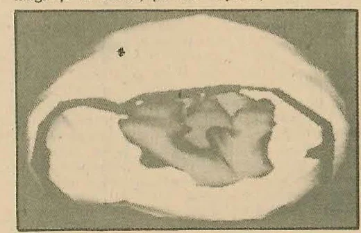 Abstract computer-generated landscape illustration showing a grid-like terrain and a spherical object.
