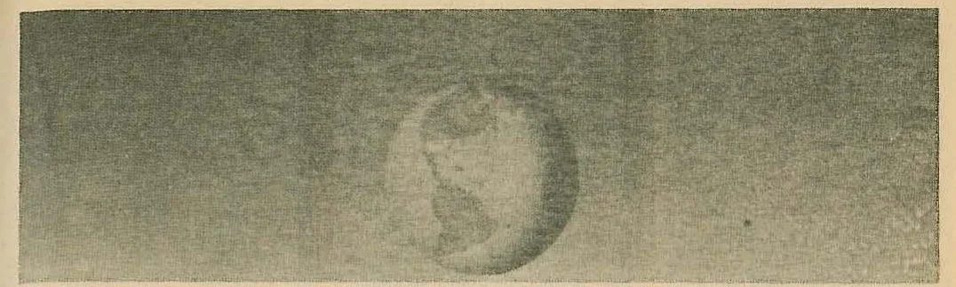 A textured, grainy rectangular image spanning the top width of the page, possibly depicting a surface detail or abstract pattern.