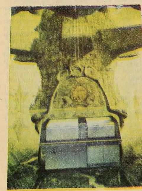 Illustration depicting a surreal, misty landscape with a lantern-like structure or cage in the foreground, rendered in yellowish and greenish tones.