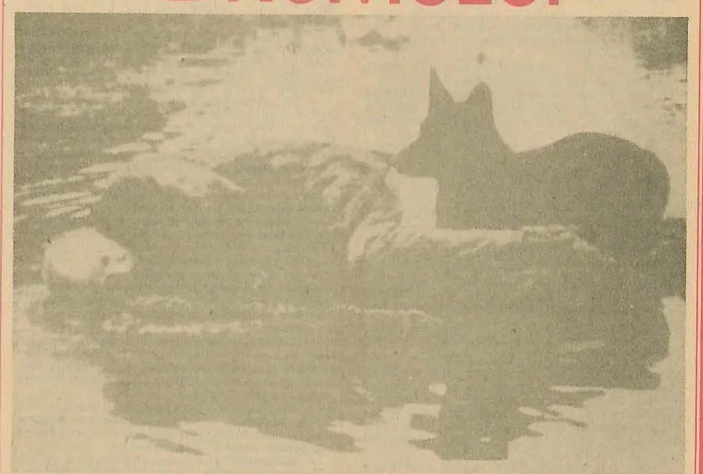 A grainy black and white photograph depicting a figure lying in a muddy or watery landscape, possibly wearing protective gear or a helmet, with a blurred background.